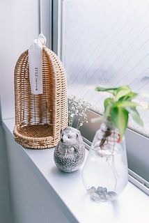 窓際においてもかわいい。