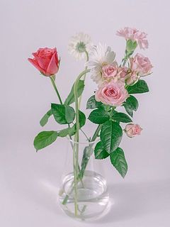 バサっと花器に投げ入れたイメージ