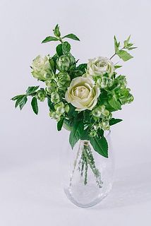 使用花器： 花器 ガロン（クリア）※別売