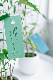 嬉しい短冊付き
