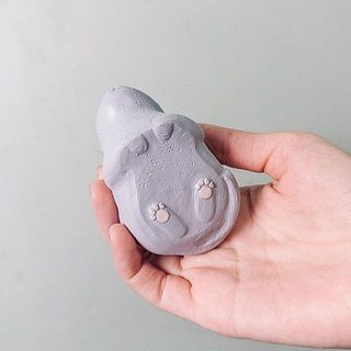ぽてっとした肉球がかわいい😍