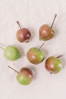 りんごの色、形には個体差がございます。