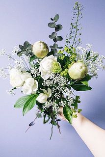 芍薬の開花具合には個体差があります。