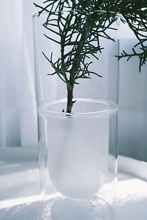 クリアとホワイトの２層構造で茎の部分はふんわりと透けて見えます。