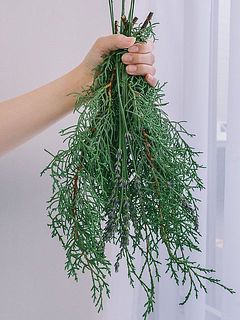 生花で楽しんだ後にスワッグにするのもおすすめ🌿