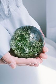 中に入る植物によって球体の丸みや大きさが異なるのも魅力。