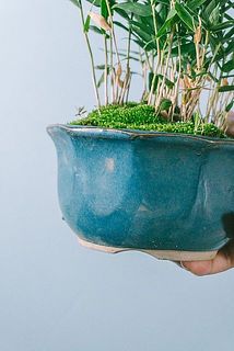 陶器鉢に汚れがついている場合がごいます。優しく拭き取ってください。