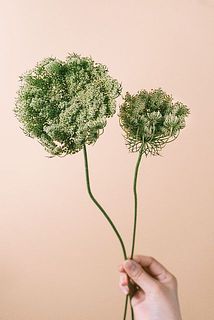 大きさには個体差がございます。