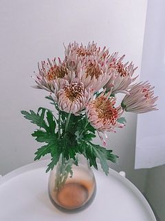 使用花器:mazzo(アンバー)※別売り