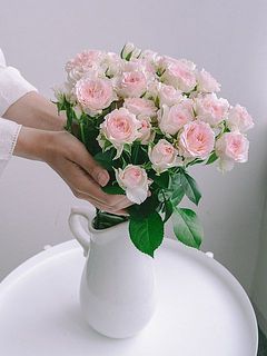 使用花器：calore（ホワイト）※別売り