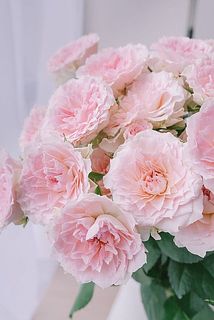 開花するとふりっふりに。