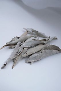 聖なるハーブ🌿ホワイトセージ
