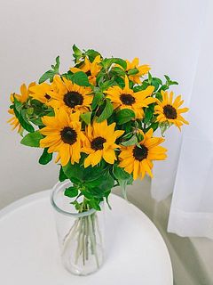 使用花器：シリンダーベース※別売り