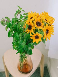 使用花器：mazzo（アンバー）※別売り