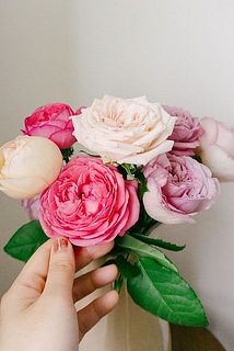 咲き方も色々なので楽しんで。