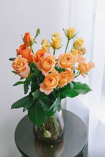 使用花器：mazzo（アンバー）※別売
