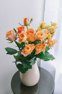使用花器：Calore（ベージュ）※別売