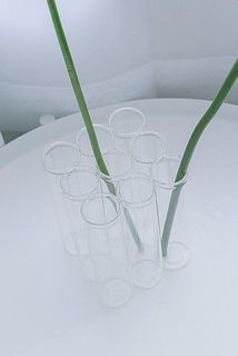 長い花でも９連でしっかり受け止めてくれます。