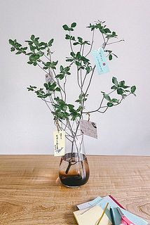 短冊をつければ七夕の飾りに大変身✨（飾りはご自身でご用意ください）