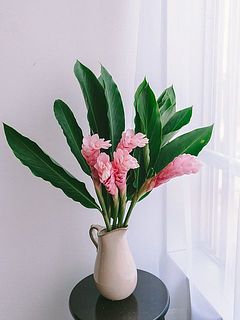 使用花器：Calore（ベージュ）※別売り