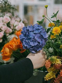 プロが仕入れたフレッシュなお花たちの中から、好きな花を選びます。