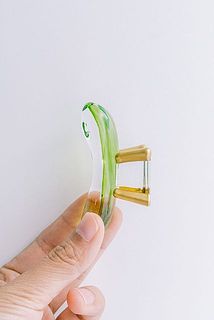 光によって色づき方に差があります。