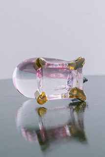 下から見た様子（なす）