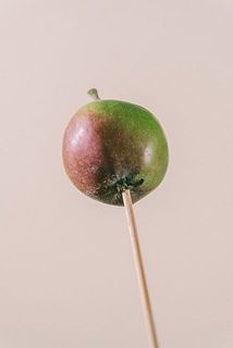 リンゴは竹串にさした状態でお届けします。竹串が短めになる場合もございます。