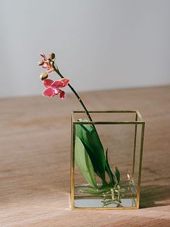 「絵画のように楽しむ花器」との相性抜群！