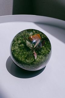 中に入る植物によって球体の丸みや大きさが異なるのも魅力。