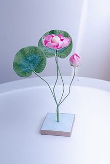 蓮の花