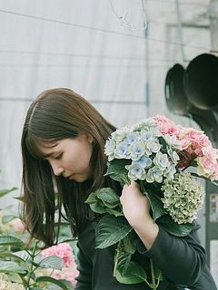 フローリストが1本1本選んで紫陽花を摘みました！