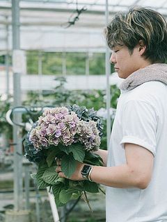 フローリストが1本1本選んで紫陽花を摘みました！