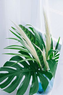 見ているだけで風を感じる爽やかさ✨
