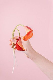 カラーはとても折れやすいので取り扱いにご注意ください