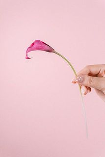 カラーはとても折れやすいので取り扱いにご注意ください