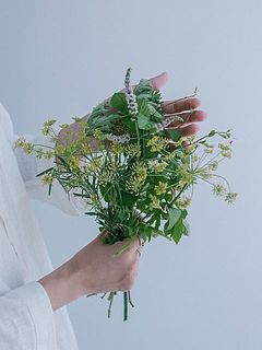 ハーブの種類はお任せ。8本お届けします。