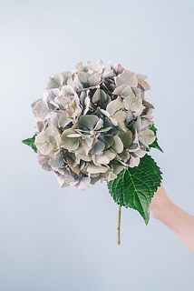 色味や大きさには個体差がございます。