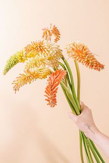色はおまかせになります