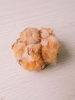 コットンの大きさや色味には個体差がございます。