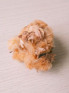 葉っぱなどが付いていることがございます。