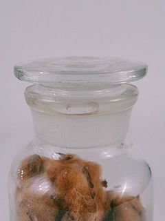 メディシンボトルには一部変色がある場合がございます。