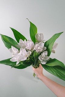 品種はおまかせになります