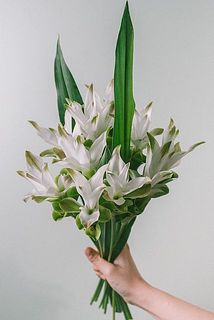 品種はおまかせになります