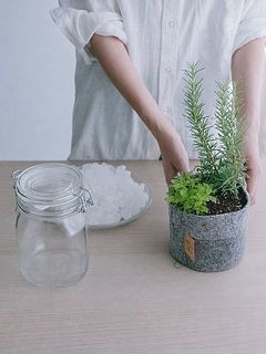 ガラスの保存瓶、氷砂糖、ハーブの寄せ植えをセットにしてお届け。