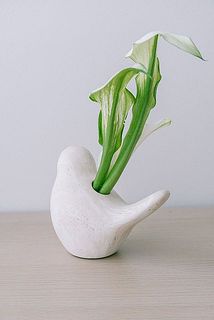 後ろ姿も素敵。