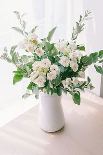 木目調のテーブルと相性抜群◎