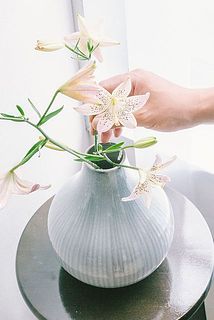 小さいゆり等可憐なお花も合います。