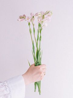 お届け例