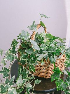 ハンドルに巻きつけても可愛い！